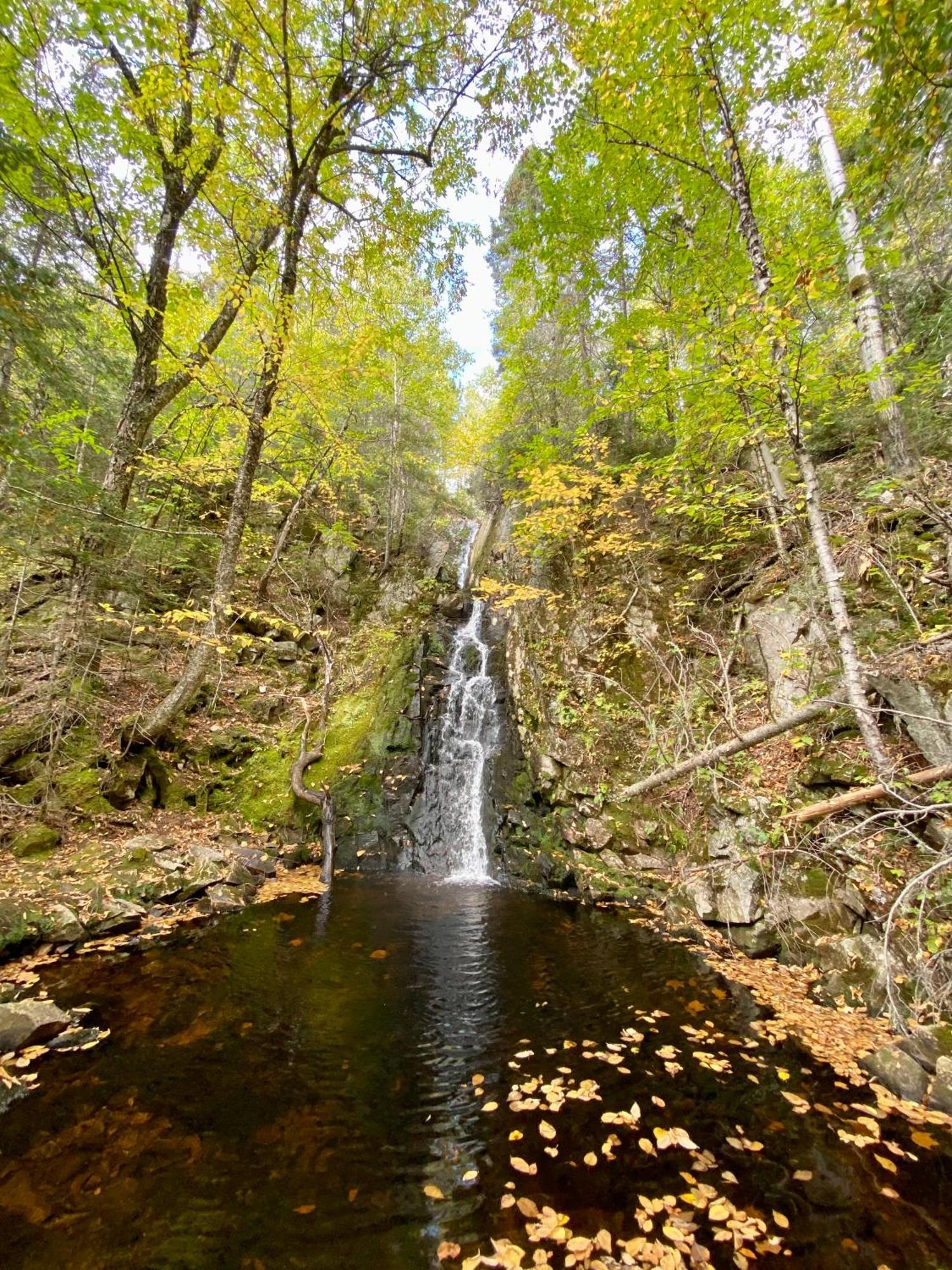 Belle Maison Avec Vue Sur La Riviere LʼAnse-Saint-Jean Exteriér fotografie