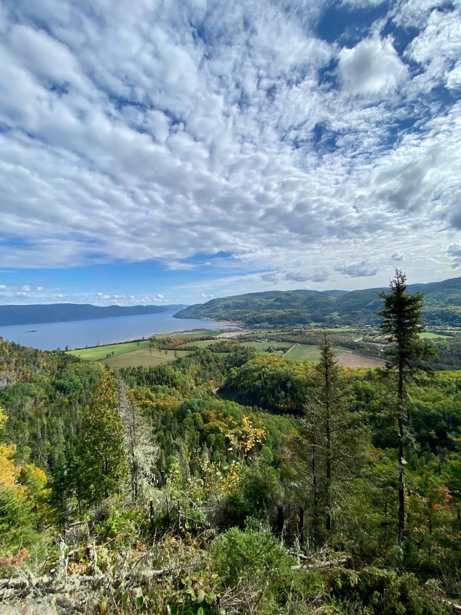 Belle Maison Avec Vue Sur La Riviere LʼAnse-Saint-Jean Exteriér fotografie